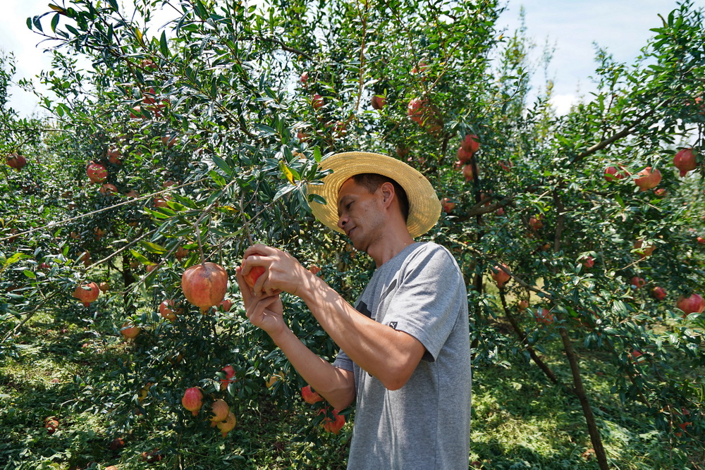 跟乡下大哥游建水完美攻略，不一样的感觉和体会：原来临安这么美