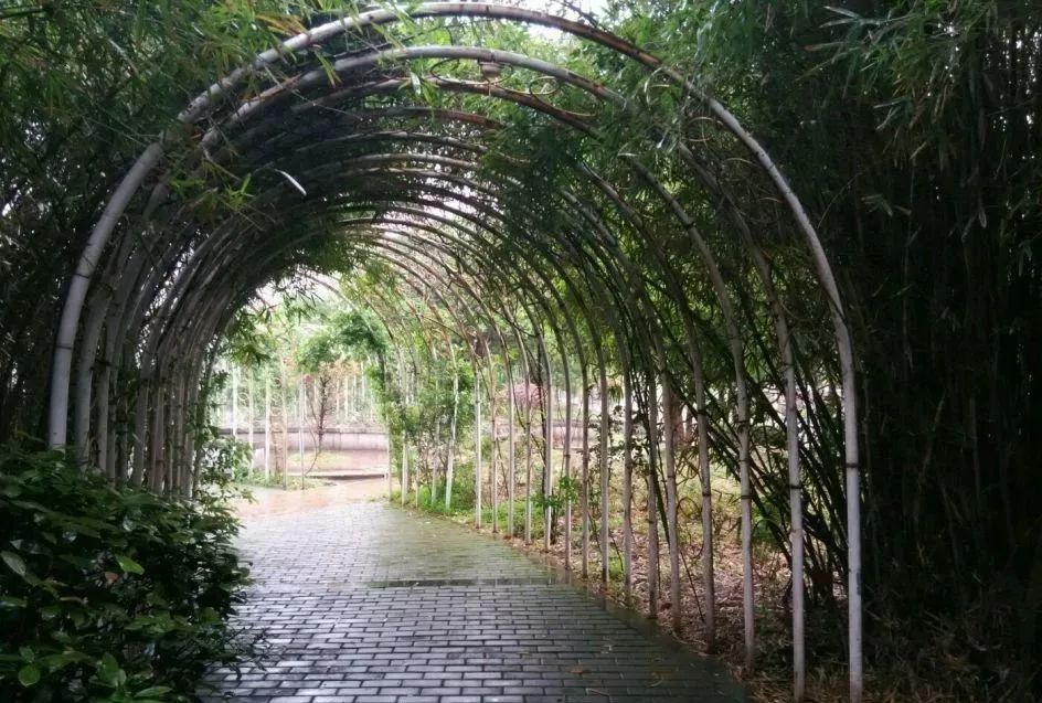 南昌纯玩一日游必去景点攻略图,南昌游玩景点推荐一日游攻略