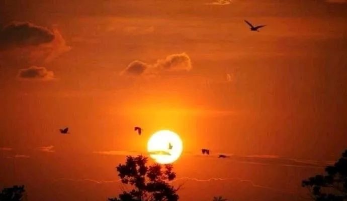 南昌纯玩一日游必去景点攻略图,南昌游玩景点推荐一日游攻略