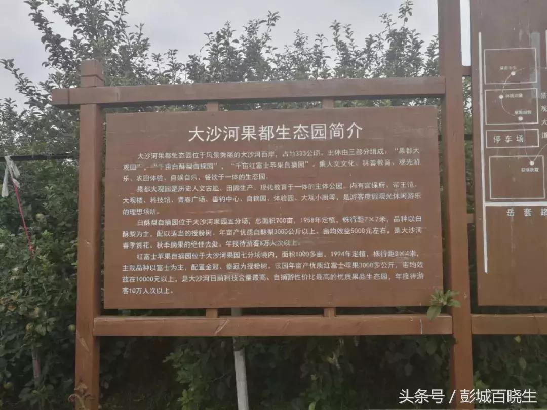 国庆节丰县附近旅游景点推荐,国庆节徐州去哪里玩好