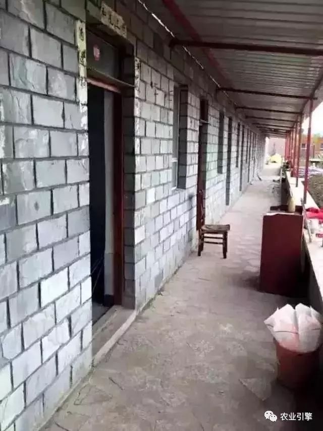 冷清的农家院被设计师折腾坏了成了京城第一精致生态农场