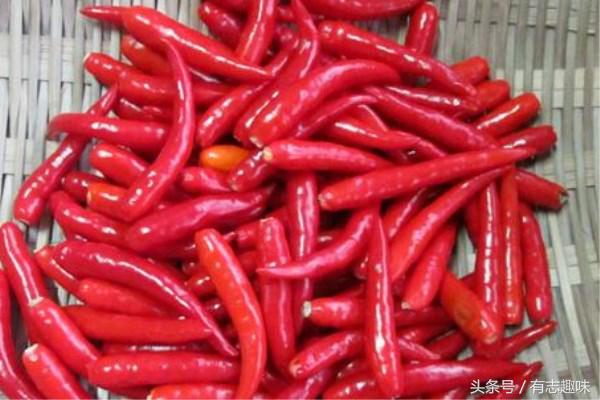 自制腌辣椒长毛了还能吃吗,腌辣椒为什么要用醋