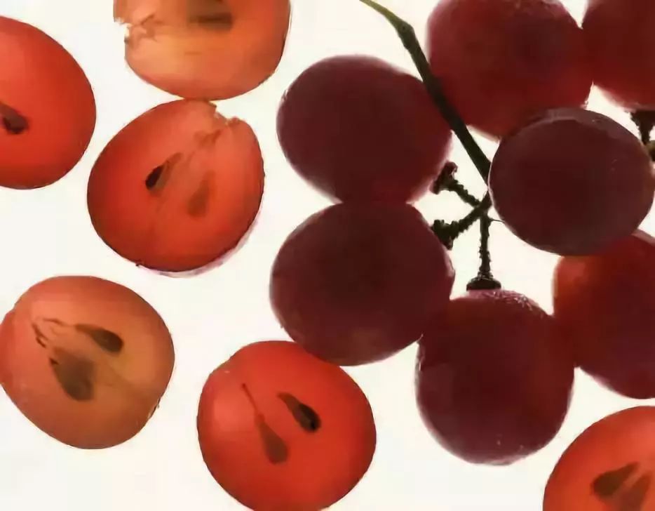 澳洲美白丸推荐,美白丸好物推荐