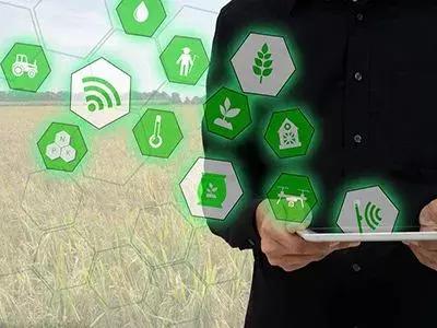 “互联网+农业”谁的荷尔蒙在飞？究竟是路，还是坑？