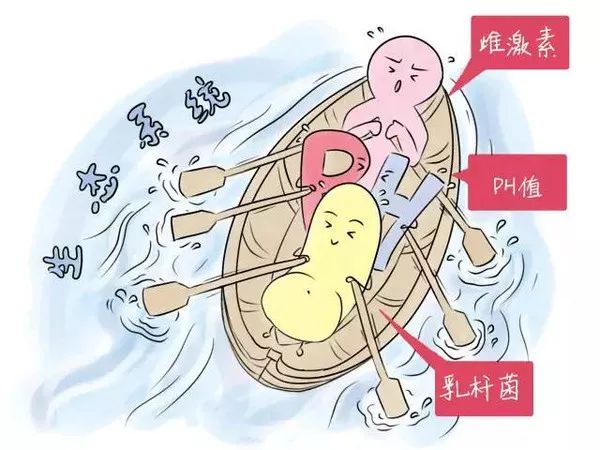 仙女们，你每天清洗*处私**还会痒？因为最好的细菌被洗没了