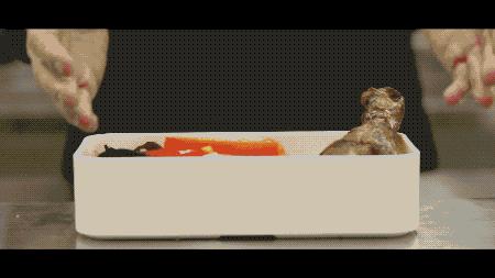 上班补充营养的食谱,上班族早上吃什么方便又营养