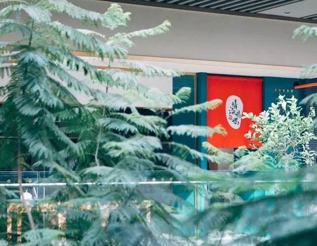 上班补充营养的食谱,上班族早上吃什么方便又营养