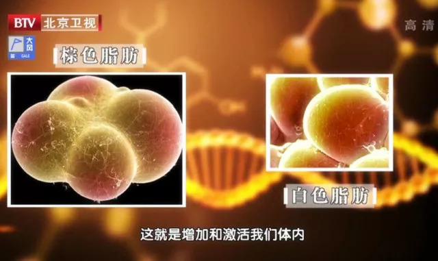 看不见的肥胖更要命！脂肪长在这里最危险，简单一招，快速瘦！