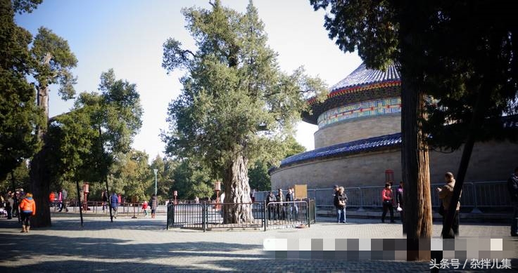 北京天坛到底隐藏着多少秘密?