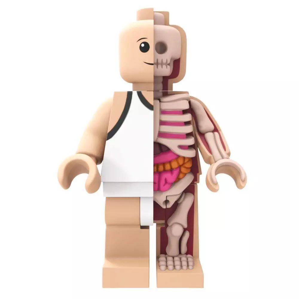 模型supreme (supreme模型)