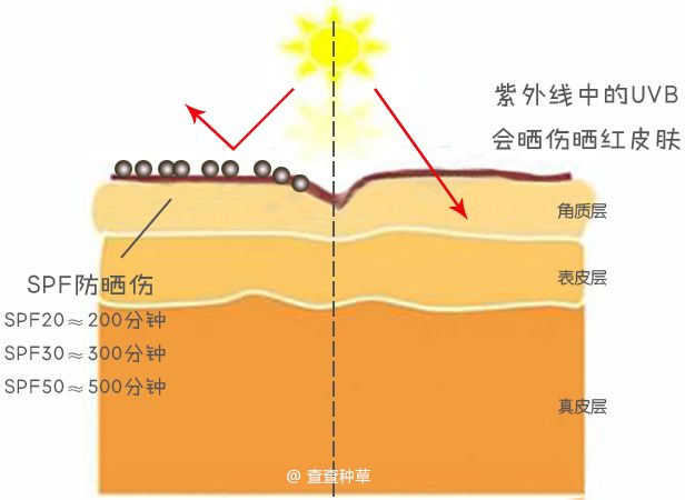 实用丨不防晒=变黑+变老!10款口碑防晒请收好!
