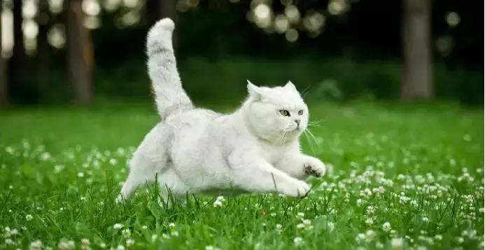 跑步是有趣的用英语怎么说,跑步的英文动名词是什么