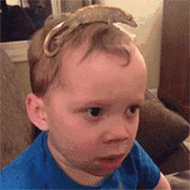 详细介绍全国各地30个旅游陷阱,旅行陷阱之人间指南