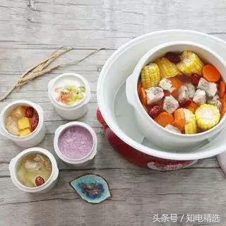 电炖锅哪种炖肉好吃,什么电炖锅好用炖着好吃