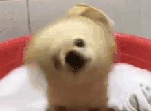 哇！广东罕见！中山居然发现“锰泉”！你去过吗？温泉还有这些妙效……