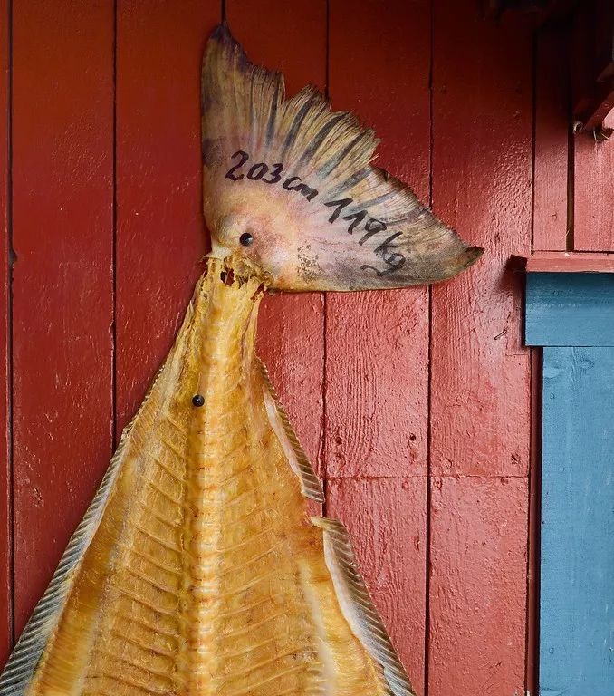 挪威值得推荐的地方,除了爬山还有什么户外运动