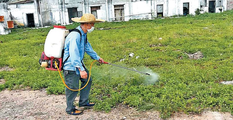 登革热高发！国庆出行东南亚注意防蚊虫叮咬！