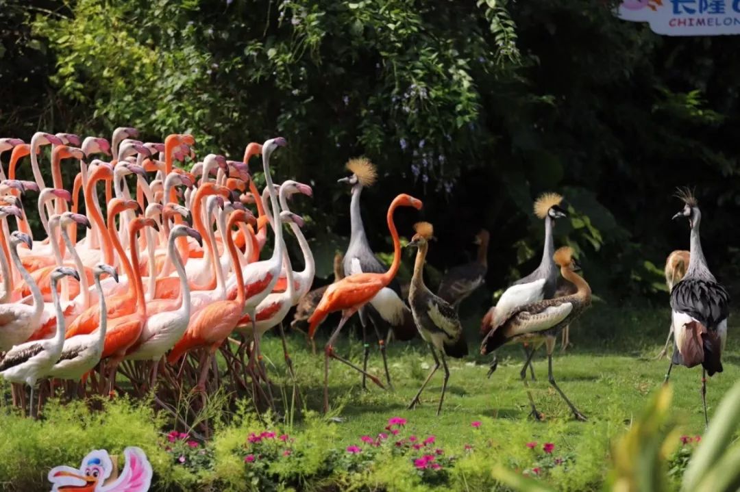 广东国庆假期攻略准备好了,国庆小长假广东