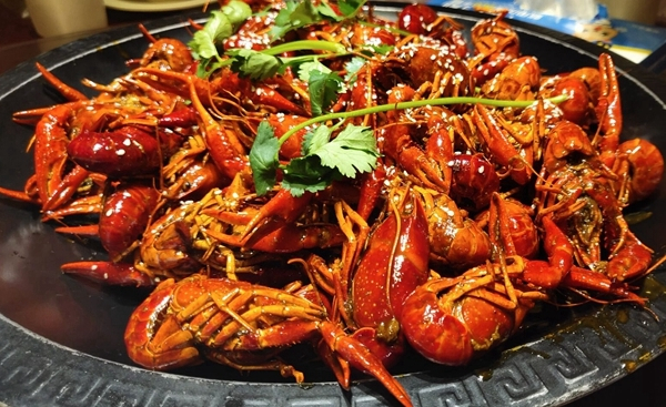 非凡一升突破未来vivonex测评,vivonex旗舰版详细评测