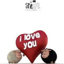 当一个女人没有感情,当一个女人没有工资