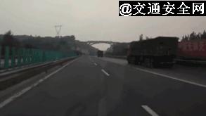 高速上遇到动物了正确处理方法,救命贴