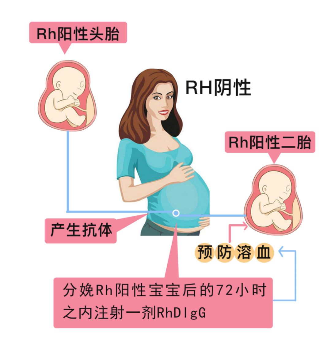 abo熊猫血中最稀有的血型,除熊猫血外什么常见血型最稀有