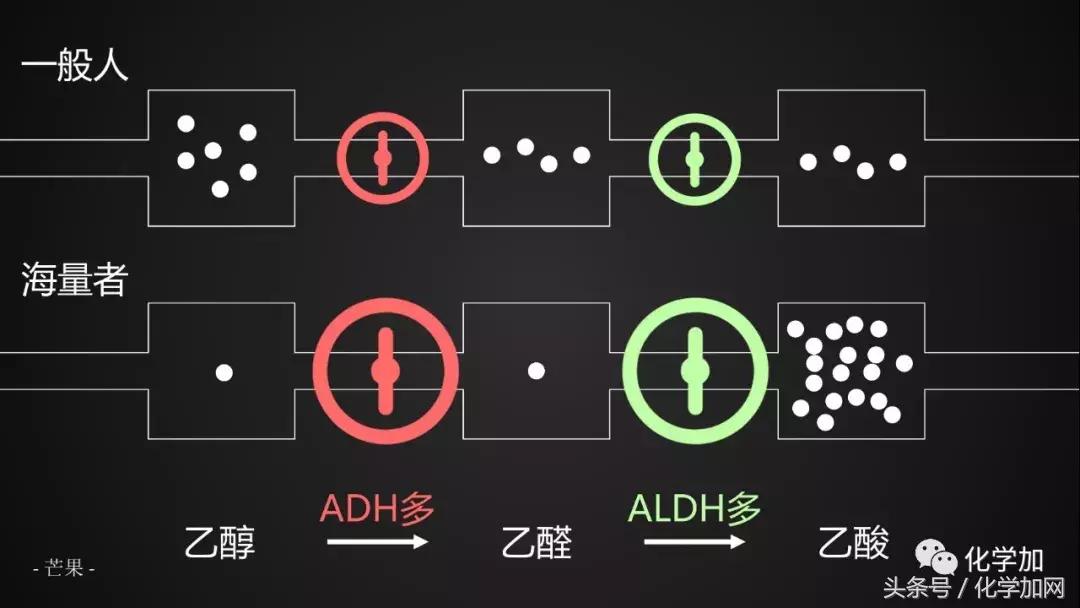 喝酒后皮肤变红逐渐变白是啥,喝酒后脸色会变白什么原因