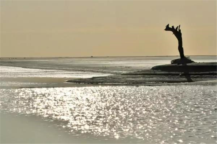 星球大战魅影危机最后胜利,星球大战第一部魅影危机