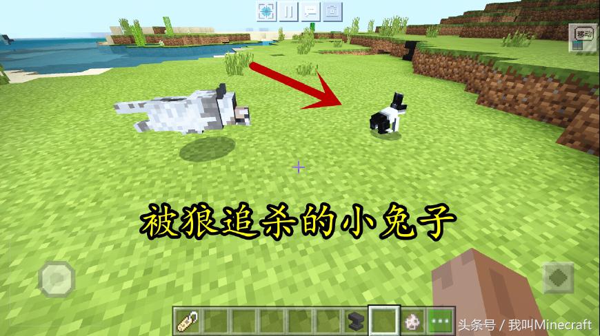 我的世界mc中真的有怪物吗,我的世界兔子都有什么秘密