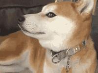 泰国维c亮白爽肤水,vc亮肤保湿爽肤水