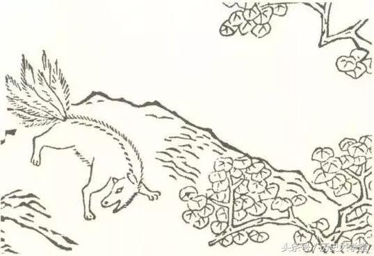 九尾狐真的是祥瑞吗,真正的九尾狐可不可怕