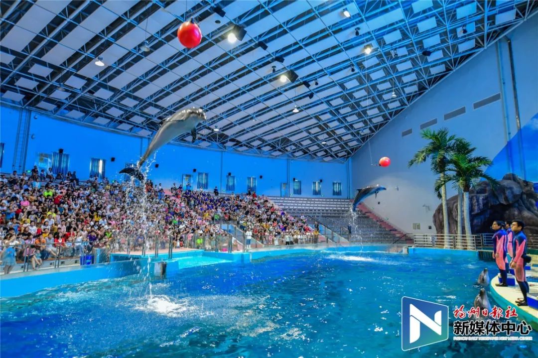 这里是宁德,这里是福建