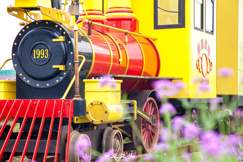 十一小长假带婴儿去哪里玩,十一长假想带孩子旅游长见识