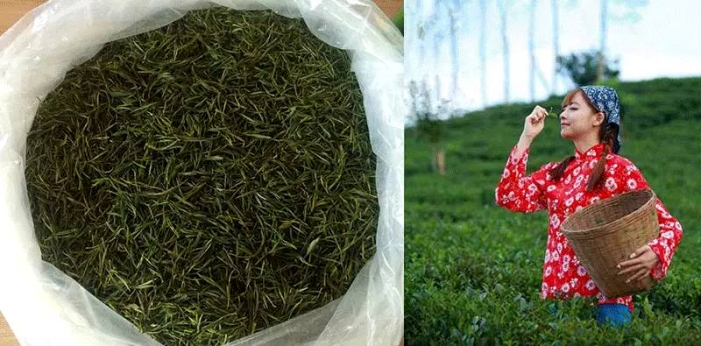 安徽泾县旅游自驾游攻略,泾县旅游攻略自由行最佳路线