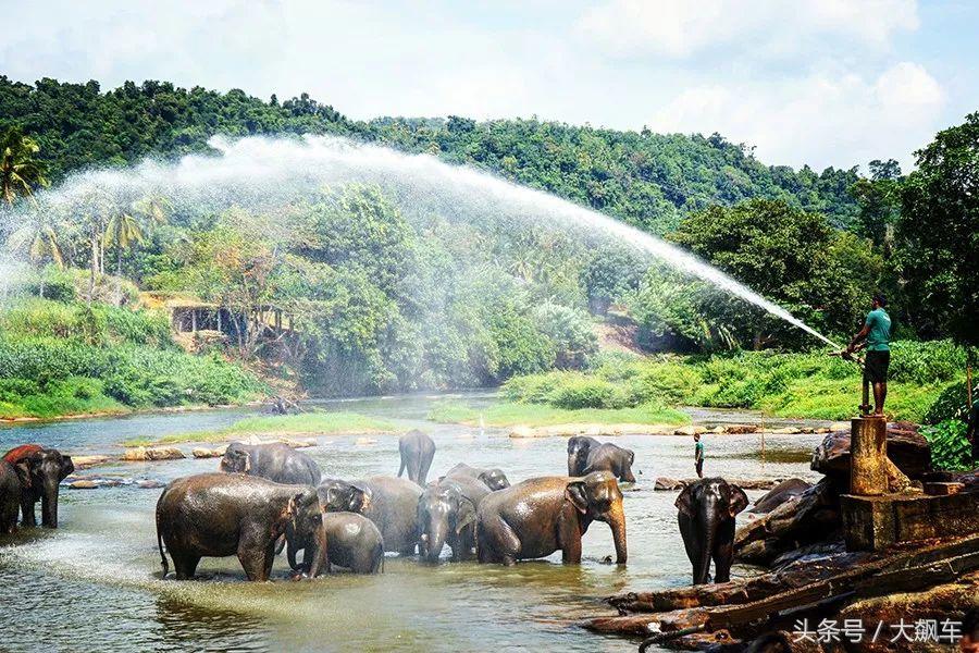 开学“B计划”之，印象斯里兰卡（一）！