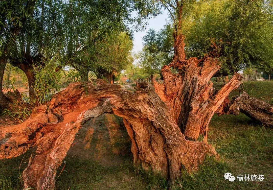 十一期间陕西榆林游玩攻略,榆林出发十一免费游的地方