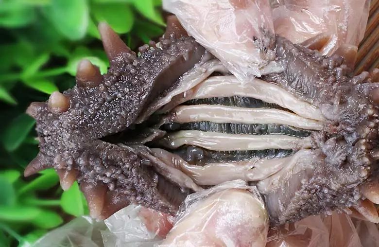 白菜价买海参,白菜价买黄金骗局