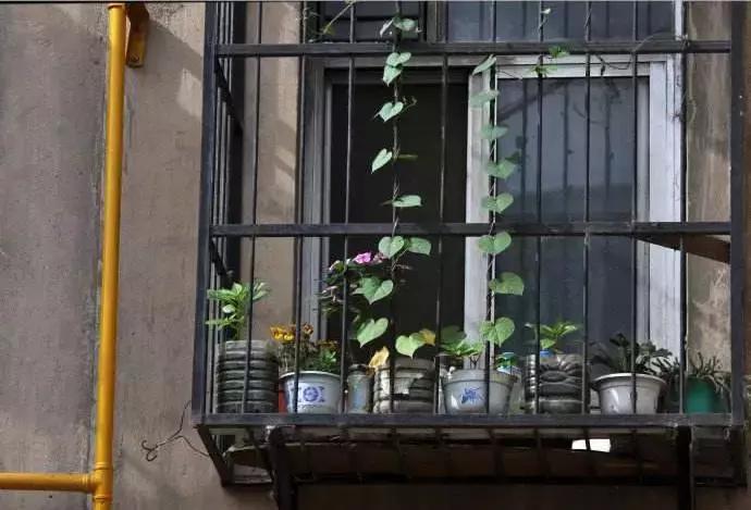 视写作为“缝补”，毕飞宇频频为她点赞