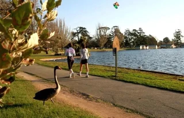 上海浦东新区旅游攻略自由行,上海苏州杭州嘉兴乌镇旅游攻略