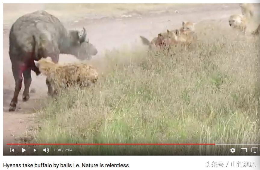 科学研究男性特征,科学认识男性生理问题