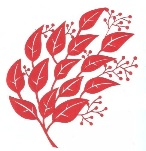 民间剪纸艺术冰墩墩,中国民间剪纸艺术基本步骤和流程