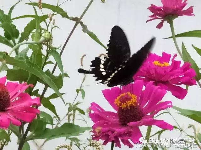 鄂豫皖红色革命根据地,红色之地新县