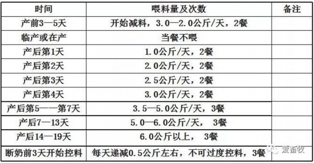 母猪分娩的正确步骤,分娩母猪接生技术