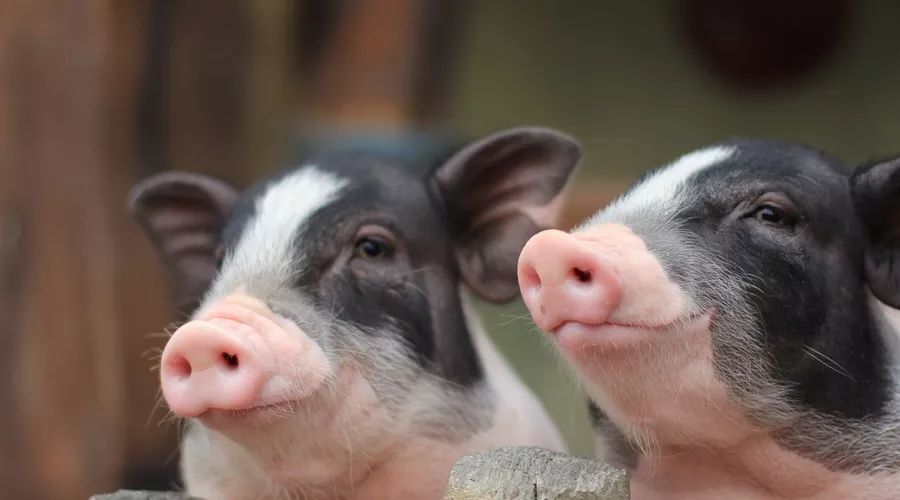 16岁花季少女染上严重妇科病起因,16岁少女得妇科病吓坏女警