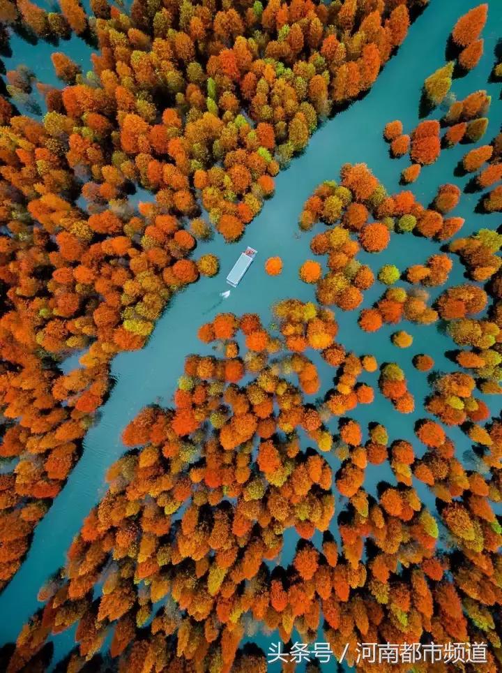 什么是中国,什么是中国特色社会主义