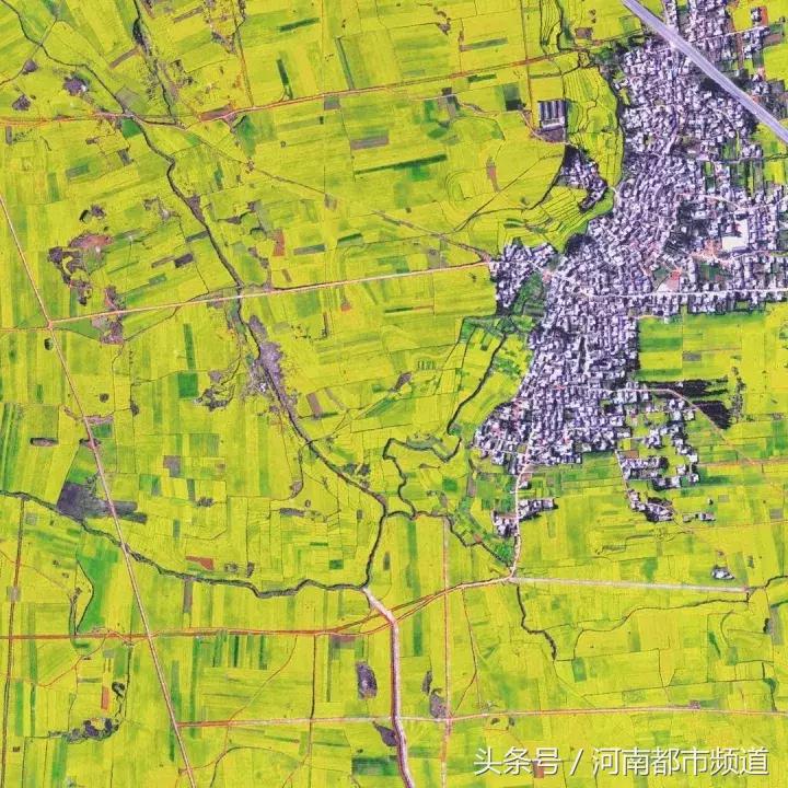 什么是中国,什么是中国特色社会主义