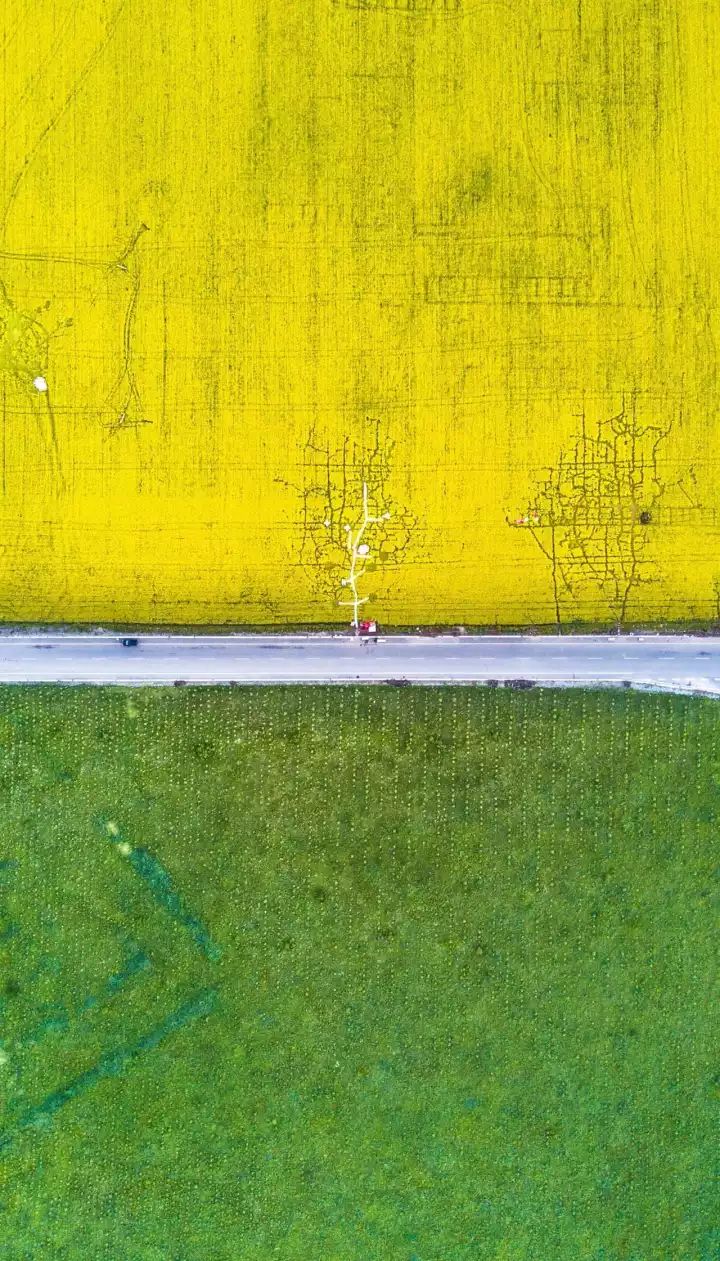 什么是中国传统文化,什么是中国文化