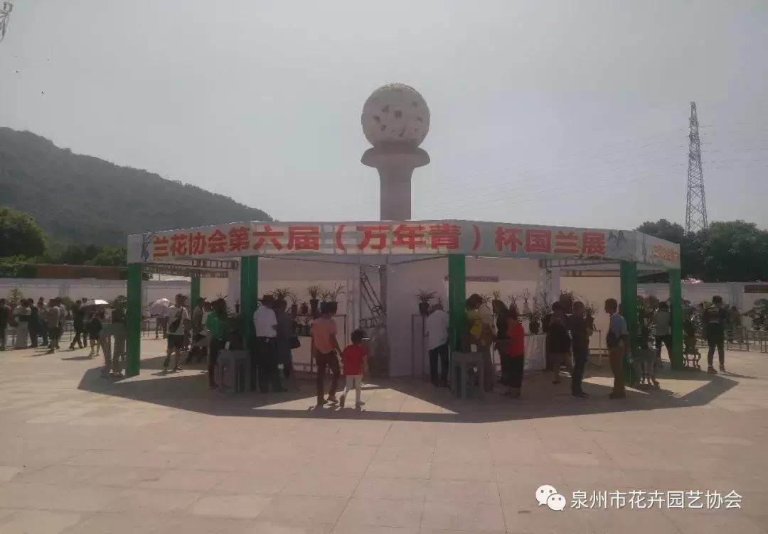 喜迎国庆展风采,迎国庆鲜花展美图