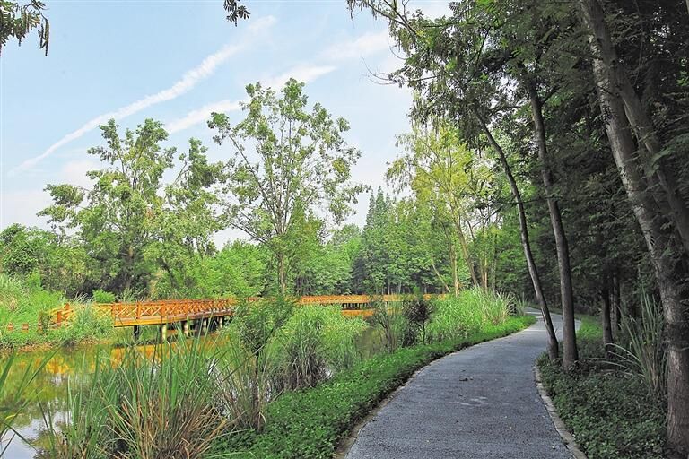 国庆大假成都周边哪里玩一天,成都绿道步行攻略都在这