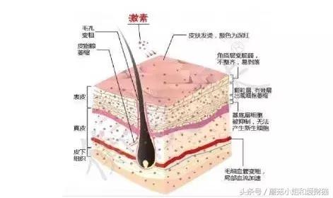 用了就烂脸的面膜,让人用了会烂脸的面膜